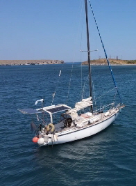 Pelago-scaled